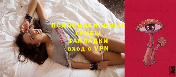 дживик Белоозёрский