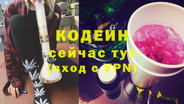 молекула духа Белокуриха