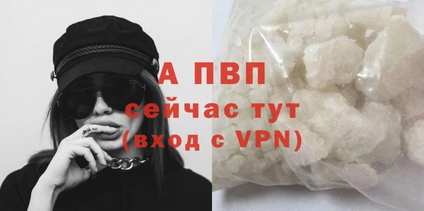 молекула духа Белокуриха