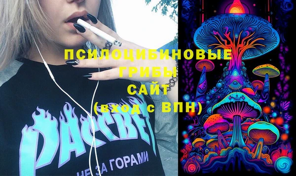 экстази Богородицк