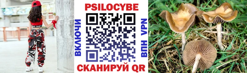 МЕГА ТОР  мориарти наркотические препараты  Галлюциногенные грибы Cubensis  что такое   Трёхгорный 